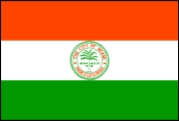 miami city flag