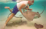 snorkel with the stingrays